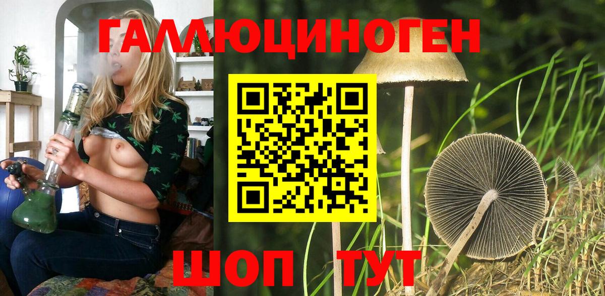 Псилоцибиновые грибы Psilocybe  Псилоцибиновые грибы Cubensis  Вход с VPN  Шадринск 